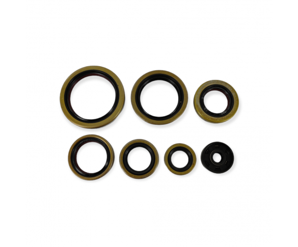 Holeshot, Packboxsats Motor, KTM 18-20 250 EXC TPI/300 EXC TPI, 17-22 250 SX, Husqvarna 17-20 TC 250, 17 TE 250/TE 300, 18-20 TE 250i/TE 300i, GasGas 22-23 MC 250