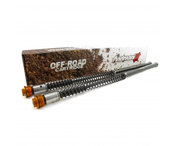 Andreani, Cartridge Kit, WP 35, KTM 17-21 50 SX, Husqvarna 18-21 TC 50, GasGas 21 MC 50