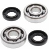 All Balls, Ramlagersats, Kawasaki 01-25 KX85, 00-25 KX65, 83-03 KX60, 95-16 KX100, 91-00 KX80, Suzuki 03-05 RM65, 03 RM60