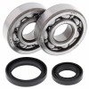 All Balls, Ramlagersats, Suzuki 02-25 RM85, 89-01 RM80