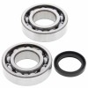 All Balls, Ramlagersats, Kawasaki 19-24 KX250, 04-18 KX250F, 24 KX250X, Suzuki 04-06 RM-Z250