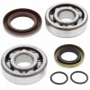 All Balls, Ramlagersats, KTM 09-24 65 SX, Husqvarna 17-25 TC 65, GasGas 21-23 MC 65