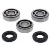 All Balls, Ramlagersats, Yamaha 19-25 YZ85, 19-25 YZ65