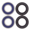 All Balls, Hjullagersats, FRAM, GasGas 96-03 EC 250, 99-03 MC 250/EC 200/EC 300, 01-03 EC 125/MC 125, SHERCO 12-13 450 Enduro Racing/510 SE Racing, 13 450 SE, 14-19 450 SEF, 23-25 450 SEF FACTORY/500 SEF FACTORY, 22 450 SEF-Factory, 20-21 450 SEF-R, 04-11