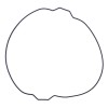 Vertex, Packning Kopplingskåpa, KTM 23-25 250 EXC, 20-22 250 EXC TPI, 18 250 EXC TPI/300 EXC TPI, 17 250 EXC/300 EXC, 17-22 250 SX, 20 300 EXC TPI, Husqvarna 17-22 TC 250, 17 TE 250/TE 300, 23 TE 250/TE 300, 18-22 TE 250i, 19-22 TE 300i, GasGas 21-23 EC 2