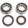 Hot Rods, Ramlagersats, KTM 18-21 250 EXC-F, 16-26 250 SX-F, 16-26 350 SX-F, Husqvarna 16-21 FC 250/FE 250, 16-21 FC 350/FE 350, GasGas 21-26 MC 250F, 24-25 MC 350F