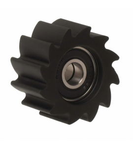 Holeshot, Kedjerulle Kawasaki, 38mm