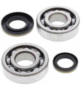 All Balls, Ramlagersats, Suzuki 03-04 RM250