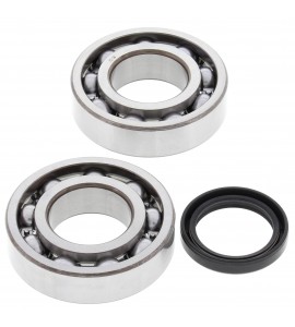 All Balls, Ramlagersats, Kawasaki 19-24 KX250, 04-18 KX250F, 24 KX250X, Suzuki 04-06 RM-Z250