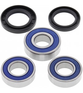 All Balls, Hjullagersats, BAK, Kawasaki 03-04 KLX400 SR, R, Suzuki 00-10 DR-Z400