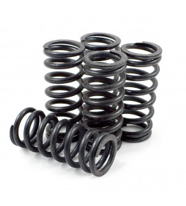 DP Brakes, Kopplingsfjädrar, Kawasaki 19-20 KX450, 12-18 KX450F