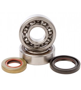 Hot Rods, Ramlagersats, KTM 04-25 85 SX, Husqvarna 20-25 TC 85, 14-19 TC 85 (17/14)/TC 85 (19/16), GasGas 21-25 MC 85