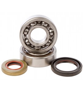 Hot Rods, Ramlagersats, KTM 04-24 85 SX, Husqvarna 20-24 TC 85, 14-19 TC 85 (17/14)/TC 85 (19/16), GasGas 21-24 MC 85