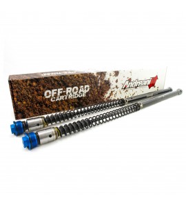 Andreani, Cartridge Kit, WP, KTM 17-23 65 SX, Husqvarna 17-23 TC 65, GasGas 21-23 MC 65