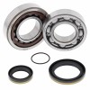 All Balls, Ramlagersats, KTM 18-22 250 EXC TPI, 04-17 250 EXC/300 EXC, 23 250 EXC/300 EXC, 14-18 250 Freeride, 03-25 250 SX, 20-22 300 EXC TPI, 23-25 300 SX, Husqvarna 14-23 TC 250, 14-17 TE 250/TE 300, 23 TE 250/TE 300, 18-22 TE 250i/TE 300i, GasGas 21-2