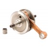 Hot Rods, Vevparti, KTM 09-23 50 SX, GasGas 21-23 MC 50