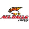 All Balls, Kedjerulle Nedre, Kawasaki 19-20 KX450