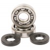 Hot Rods, Ramlagersats, Kawasaki 01-25 KX85, 00-25 KX65, 83-03 KX60, 95-16 KX100, 91-00 KX80, Suzuki 03-05 RM65, 03 RM60