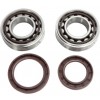 Hot Rods, Ramlagersats, KTM 18-21 250 EXC-F, 16-25 250 SX-F, 16-25 350 SX-F, Husqvarna 16-21 FC 250/FE 250, 16-21 FC 350/FE 350, GasGas 21-24 MC 250F, 24 MC 350F