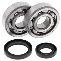 All Balls, Ramlagersats, Suzuki 02-25 RM85, 89-01 RM80