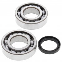 All Balls, Ramlagersats, Kawasaki 19-24 KX250, 04-18 KX250F, 24 KX250X, Suzuki 04-06 RM-Z250