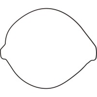 Vertex, Packning Kopplingskåpa, KTM 24-25 450 EXC-F, 23-25 450 SX-F, 24 250 EXC-F, 25 250 EXC-F, 23-25 250 SX/250 SX-F, 24-25 350 EXC-F/300 EXC/500 EXC-F, 23-25 350 SX-F/300 SX, Husqvarna 23-24 FC 450, 25 FC 450 /TC 300, 24-25 FE 450, 23-25 FC 250/TC 250,